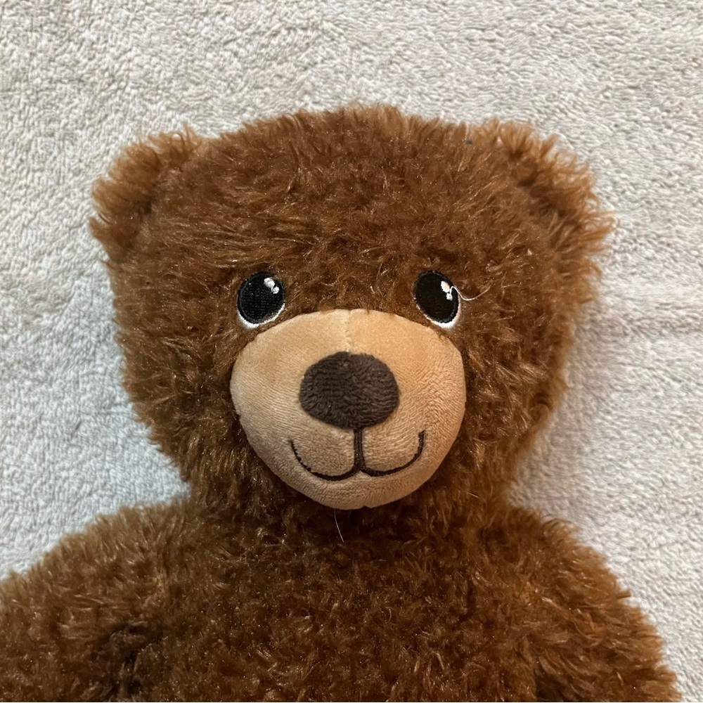 Happy Birthday Build a Bear 15”